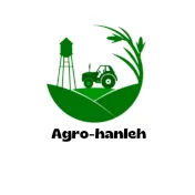 services professionnels Djibouti